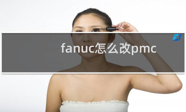 fanuc怎么改pmc