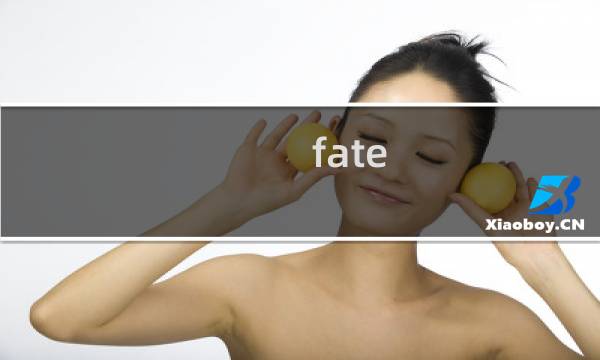 fate 樱攻略