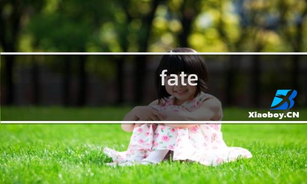 fate 游戏攻略
