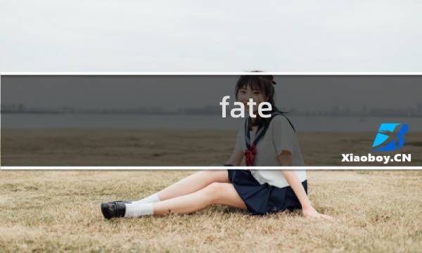 fate sn 攻略