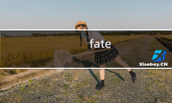 fate stay night攻略hf