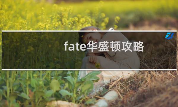 fate华盛顿攻略