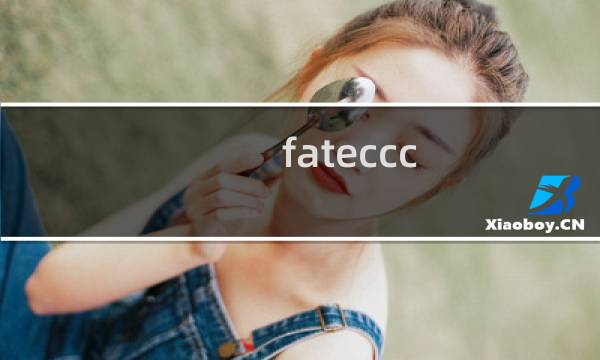 fateccc 攻略