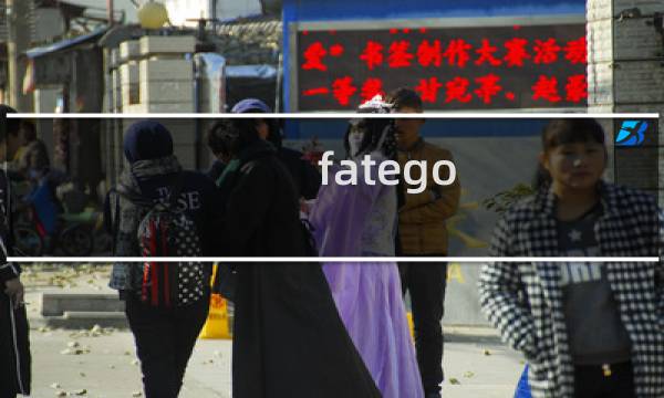fatego 前期攻略