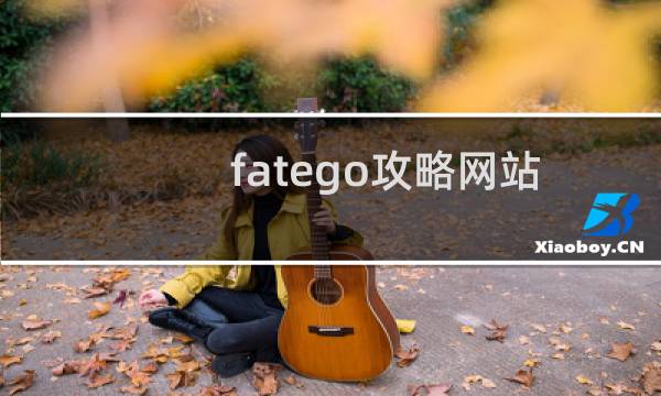 fatego攻略网站