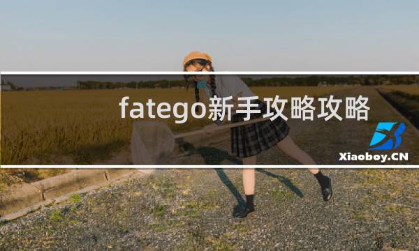 fatego新手攻略攻略