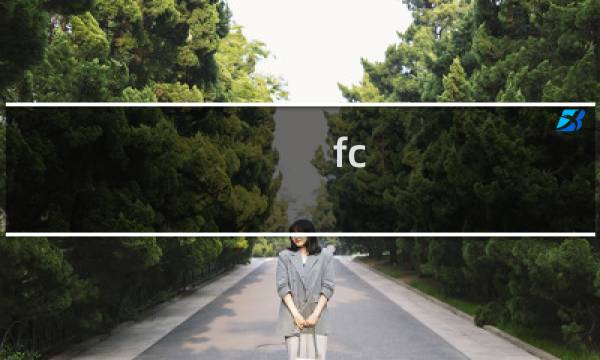 fc 唐老鸭 攻略