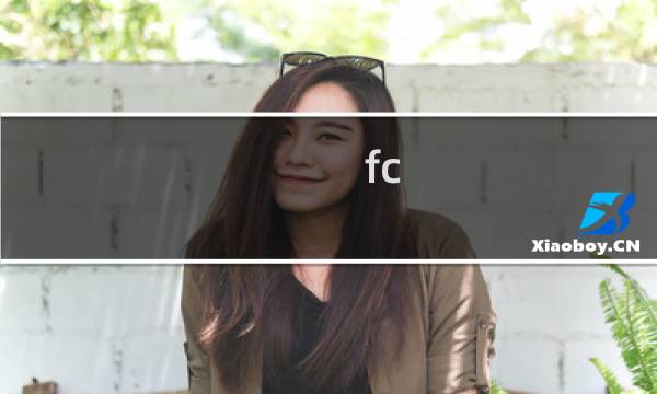 fc 攻略书