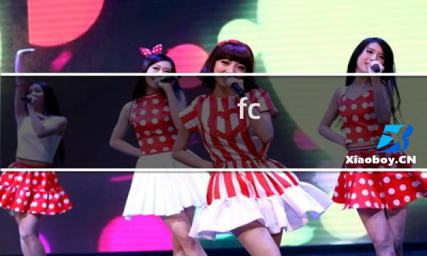 fc 最终幻想30