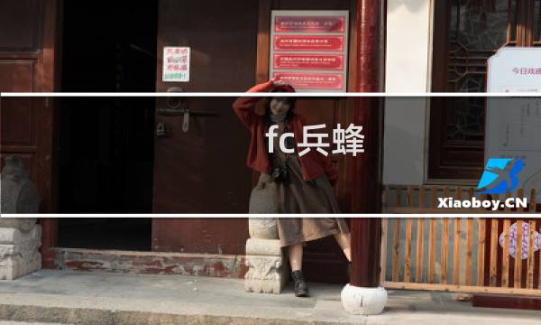 fc兵蜂 攻略