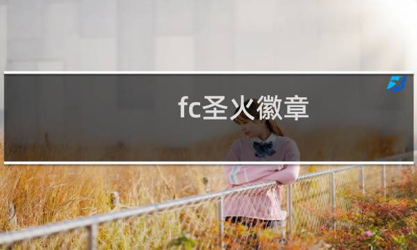 fc圣火徽章 攻略
