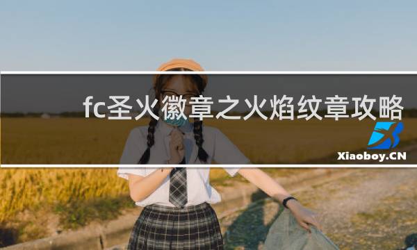 fc圣火徽章之火焰纹章攻略