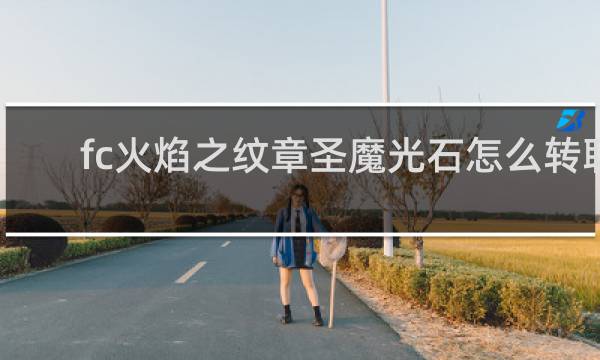 fc火焰之纹章圣魔光石怎么转职
