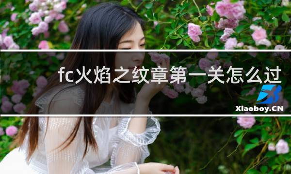 fc火焰之纹章第一关怎么过