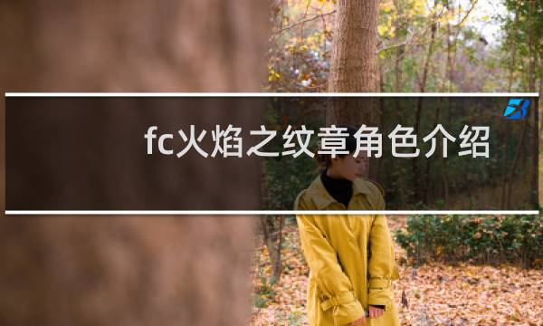 fc火焰之纹章角色介绍