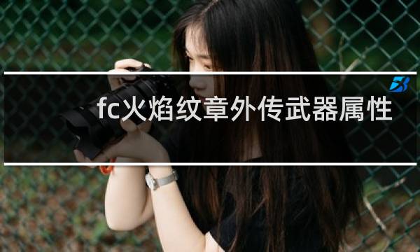 fc火焰纹章外传武器属性