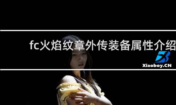fc火焰纹章外传装备属性介绍