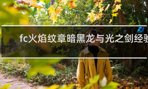 fc火焰纹章暗黑龙与光之剑经验