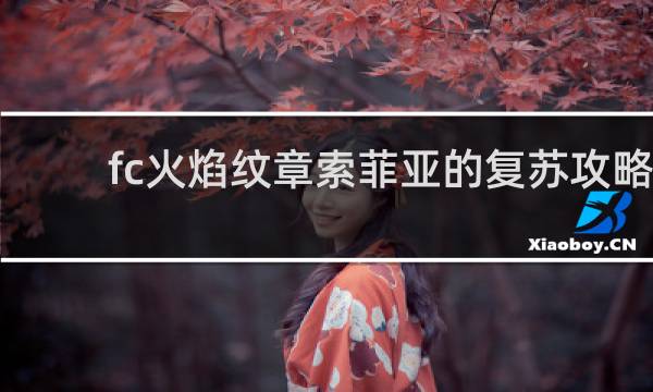 fc火焰纹章索菲亚的复苏攻略