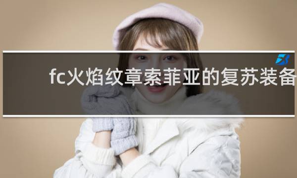 fc火焰纹章索菲亚的复苏装备