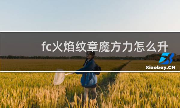 fc火焰纹章魔方力怎么升