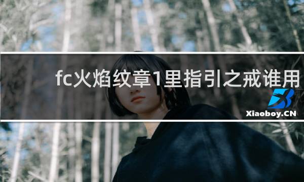 fc火焰纹章1里指引之戒谁用