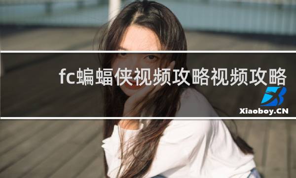 fc蝙蝠侠视频攻略视频攻略