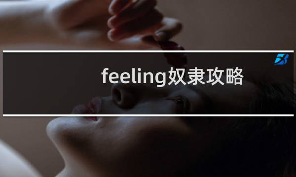 feeling奴隶攻略