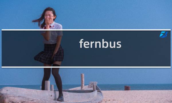 fernbus simulator攻略