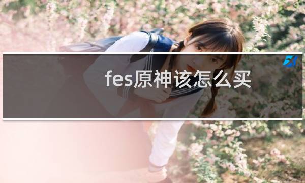 fes原神该怎么买