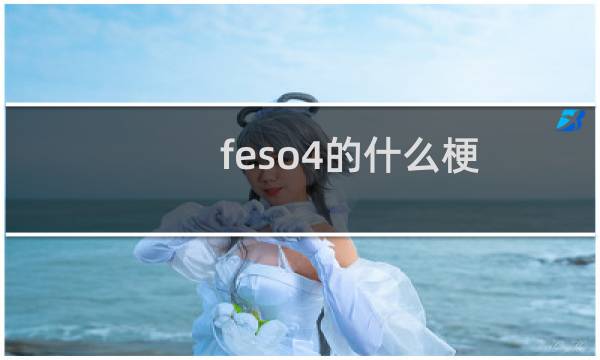 feso4的什么梗