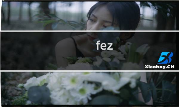fez 白金攻略