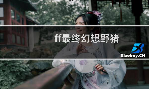 ff最终幻想野猪