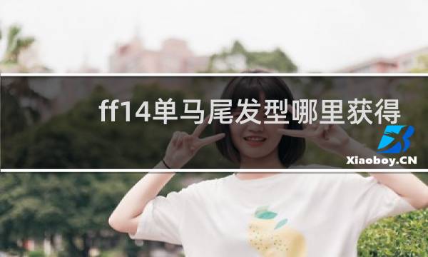 ff14单马尾发型哪里获得