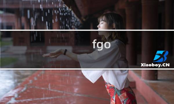 fgo 攻略网站