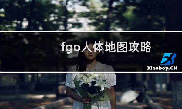 fgo人体地图攻略