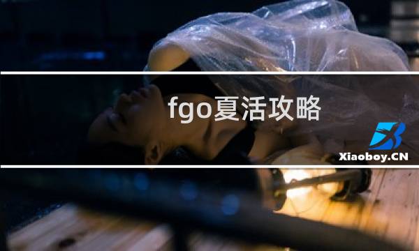 fgo夏活攻略