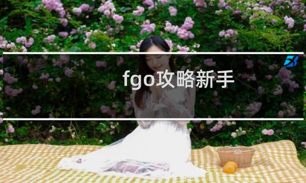 fgo攻略新手