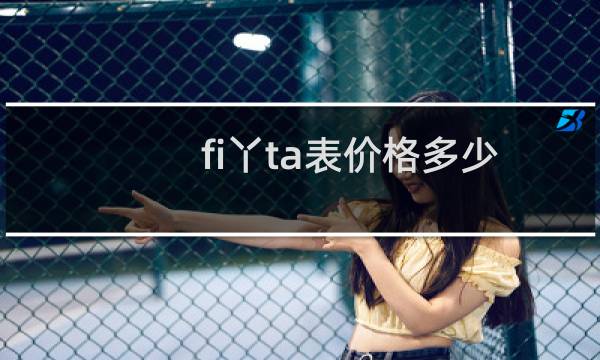 fi丫ta表价格多少