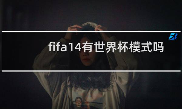 fifa14有世界杯模式吗