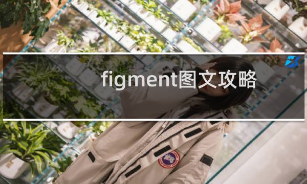 figment图文攻略