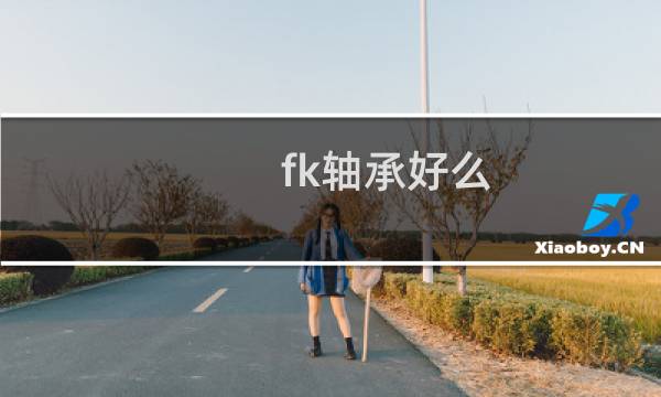 fk轴承好么