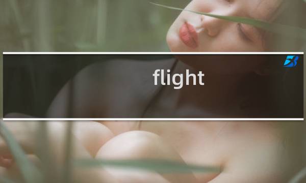 flight 787攻略