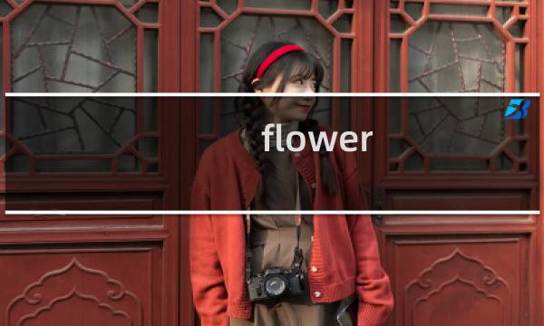 flower 视频攻略