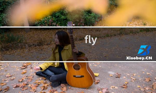 fly simulator攻略