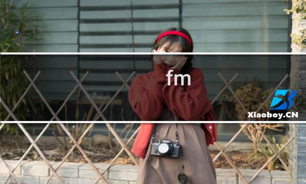 fm 战术攻略
