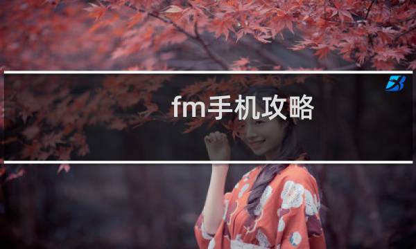 fm手机攻略
