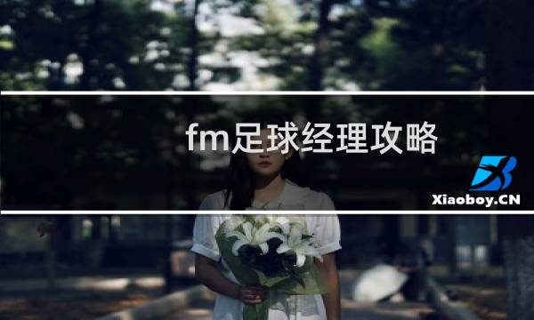 fm足球经理攻略