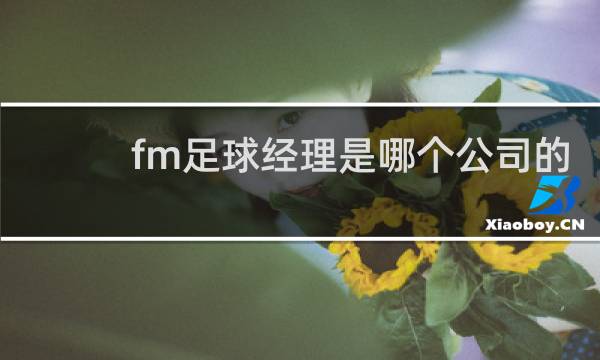 fm足球经理是哪个公司的