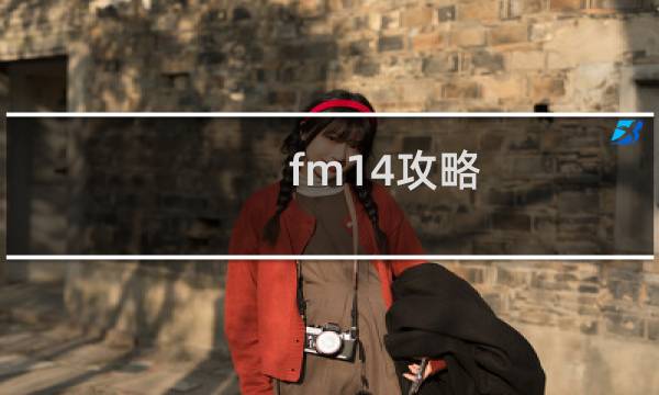 fm14攻略